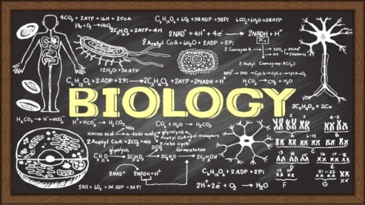 Career in Biological and Life Sciences